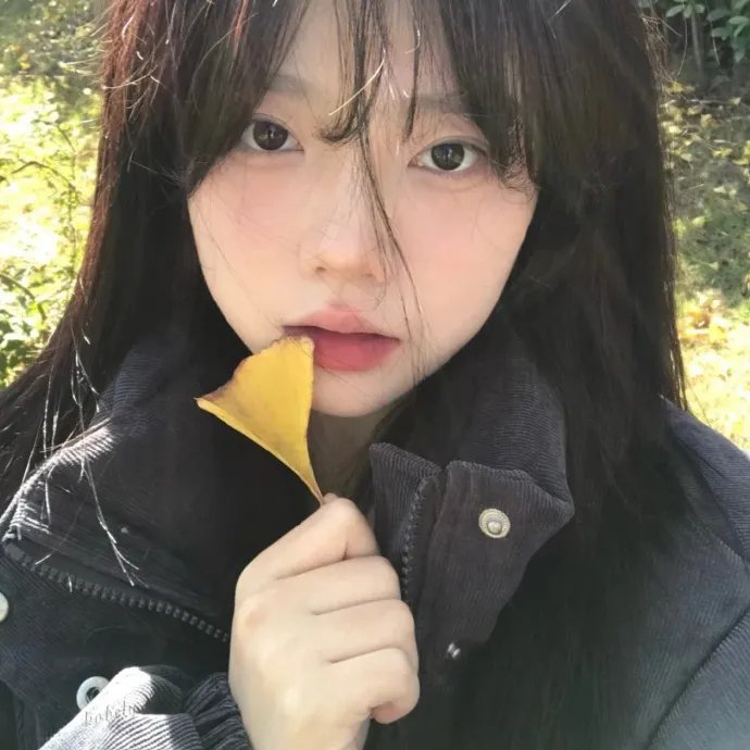 我的朋友们